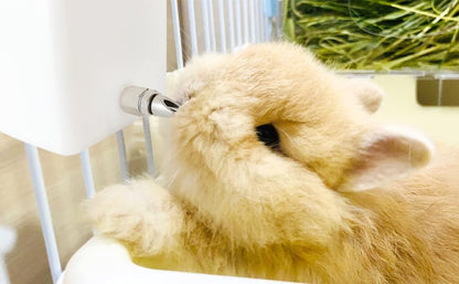 Threaded Stainless Steel Rabbit Nipples Rodent Nipples Waterer Automatic Rabbit Waterer Watering System Animal Supplies Breeding Supplies (Grey, 6)