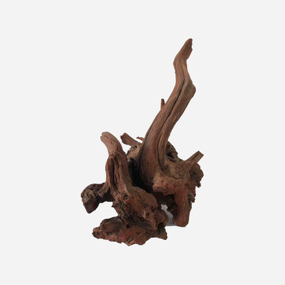 LYPHARD AQUARIUMS Natural Driftwood for Aquarium Decor, L11.81×W11.02×H15.75 Inches Large Drift Wood Decorations for Reptile Hide, Fish Tank, Optional Shapes