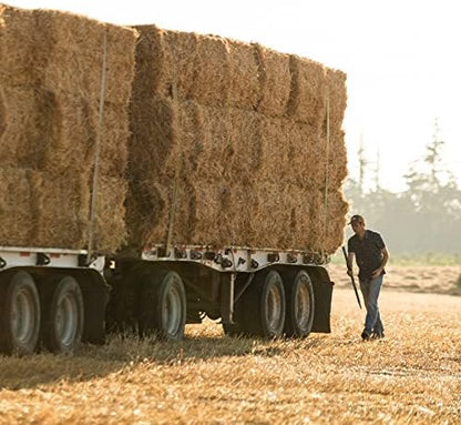 Blue Mountain Hay | Fresh Teff Grass Hay (40 Ounce) | Low NSC, High Fiber, Healthy Weight Management | High-Altitude Hay Pet Food for Rabbits, Guinea Pigs, Chinchillas, Hamsters, and Other Small Pets