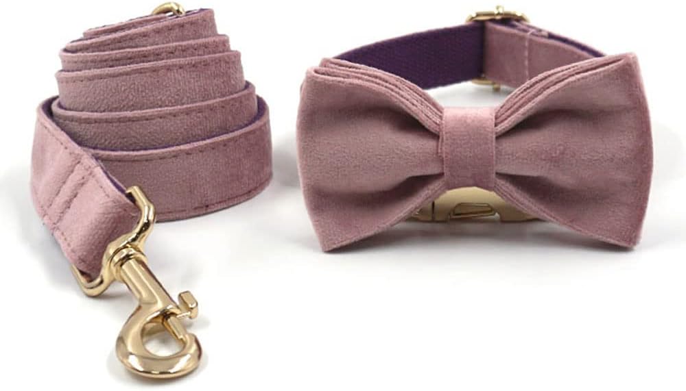 PETDURO Personalized Dog Collar Pink Purple Soft Velvet for Large Medium Small Boy Girl Dogs - Custom Collar with Name Phone Number Engraved on Gold Metal Buckle - Add Leash Bow Set via Customize Now