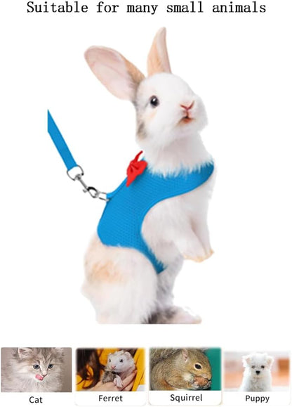 Bunny Harness and Leash for Walking Escape Proof,Mesh Breathable Adjustable Rabbit Leash Camping Hiking Training for Ferret Kitten Puppy Blue M (Chest:9.4-11.8")