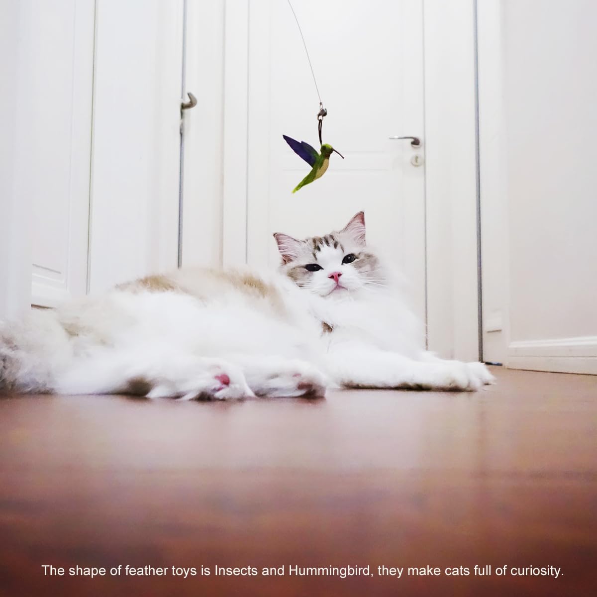 TTcat Cat Feather Toys Replacement,3 Pcs Hummingbird Insect Feathers Refills for Cat Wands.