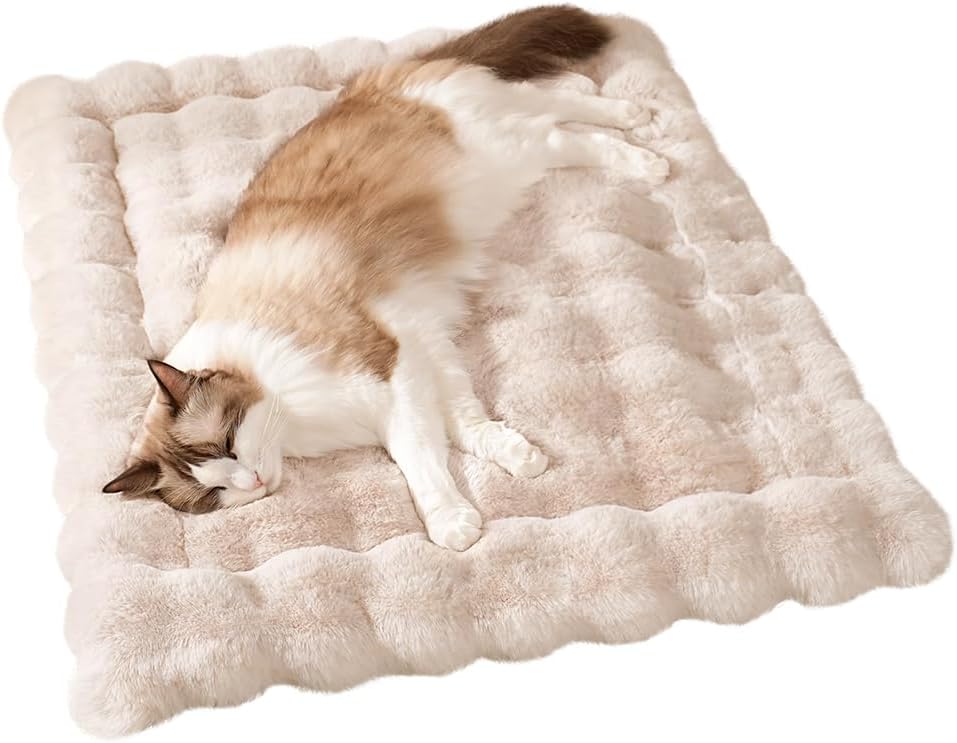 Cat Beds Cozy Pet Mat Faux Fur Kitten Pad Bed for Carriers/Couch Dog & Puppy Cute Friendly 23 x 15 Inch Medium White