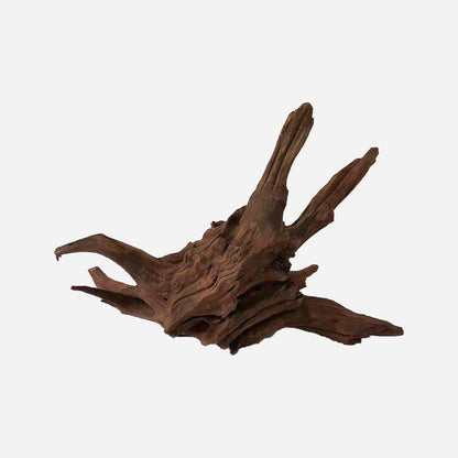 LYPHARD AQUARIUMS Natural Driftwood for Aquarium Decor, L19.69×W11.81×H13.39 Inches Large Drift Wood Decorations for Reptile Hide, Fish Tank, Optional Shapes