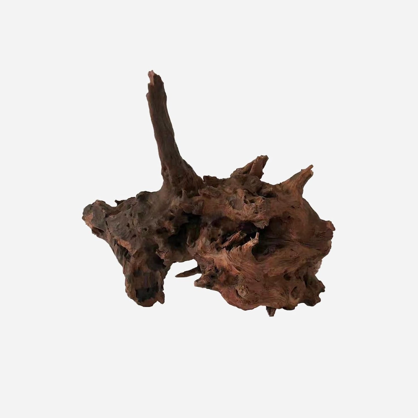 LYPHARD AQUARIUMS Natural Driftwood for Aquarium Decor, L14.57×W9.45×H10.24 Inches Large Drift Wood Decorations for Reptile Hide, Fish Tank, Optional Shapes