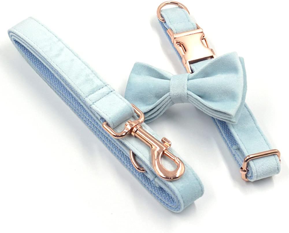 PETDURO Custom Dog Collar Personalized with Name Engraved Quick Release Rose Gold Metal Buckle for Large Medium Small Girl Dogs - Dog Leash and Bow Tie Available - Soft Comfy Velvet (Sky Blue, XS)