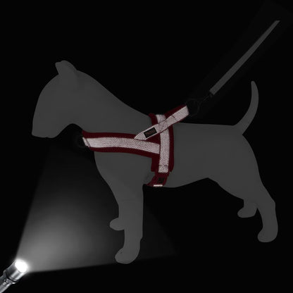 Didog No Pull Dog Harness with Breathable Mesh Padded, Full Reflective & Quick Fit Adjustable Vest Harness, Easy for Training Walking for Small & Medium and Large Dogs (Red, S:Chest 18-22")