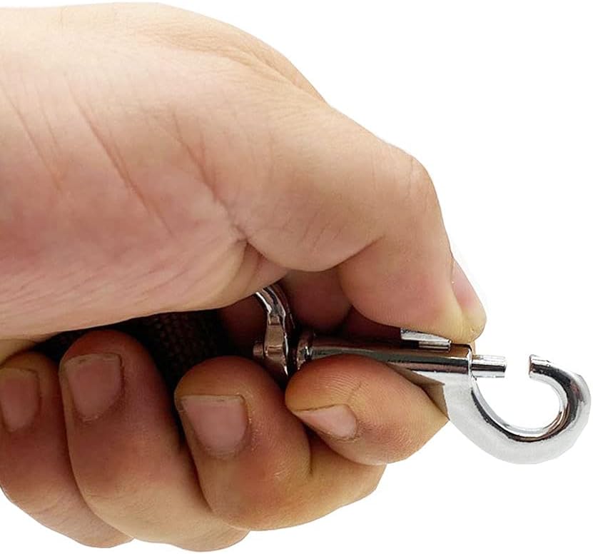 Nylon Dog Training Leash, Traction Rope, 4/5/6 Feet Long, 3/4 Inch 1 Inch Wide, for Small and Medium Dogs (1'' x 4 FT, Brown)