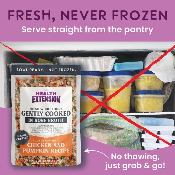 Health Extension Gently Cooked Chicken & Pumpkin Dog Food, Human-Grade & Shelf-Stable with Superfoods, Supports Digestion, Immunity, Skin & Coat, 9 oz Pouch (Pack of 10)