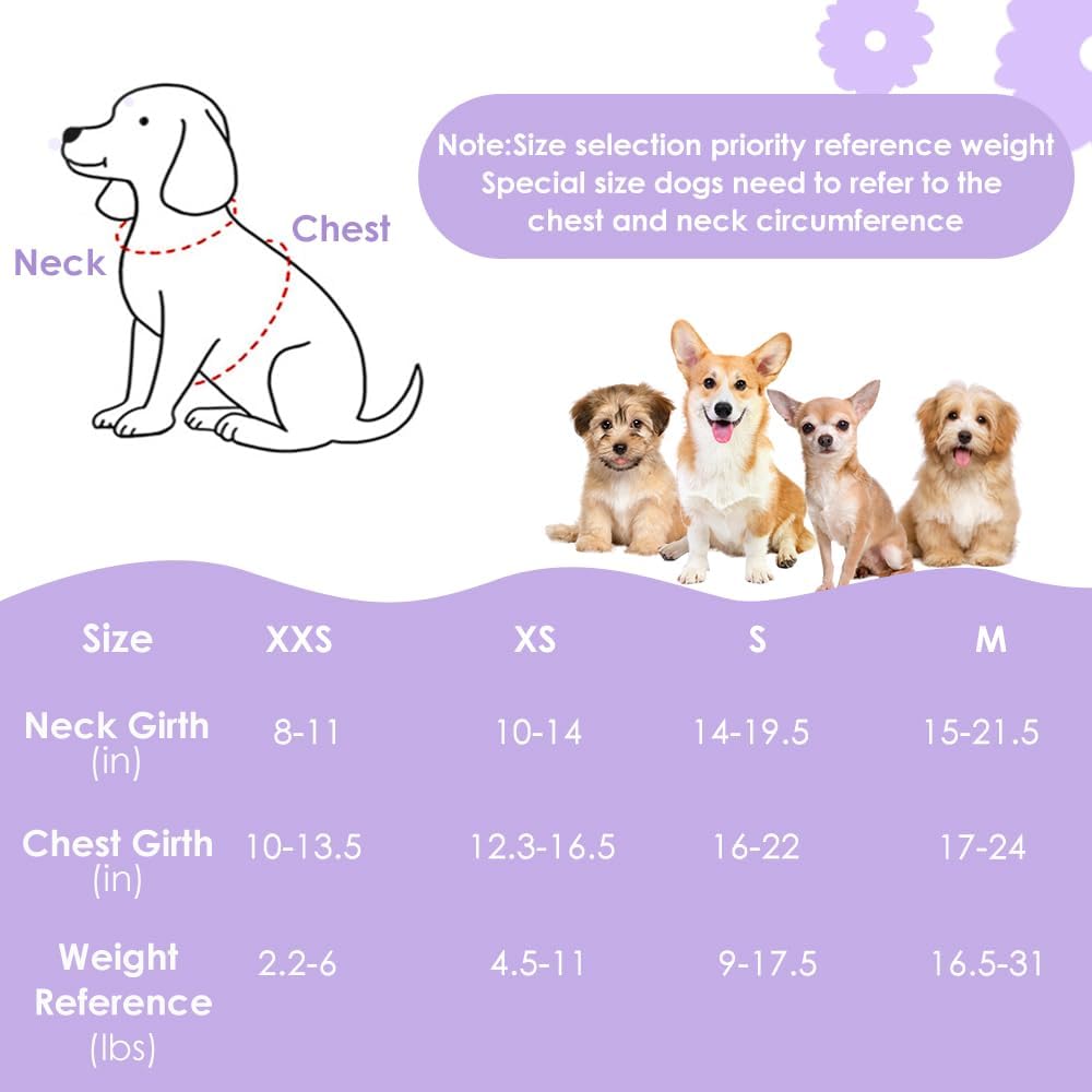 Lukovee No Pull Puppy Harness and Leash Set - Soft Lightweight Escape Proof Puppy Vest Harness, Breathable Adjustable Pet Harness with Dog Leash for Small Dogs (Purple, XS)