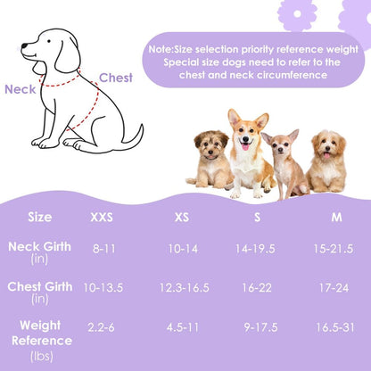 Lukovee No Pull Puppy Harness and Leash Set - Soft Lightweight Escape Proof Puppy Vest Harness, Breathable Adjustable Pet Harness with Dog Leash for Small Dogs (Purple, XS)