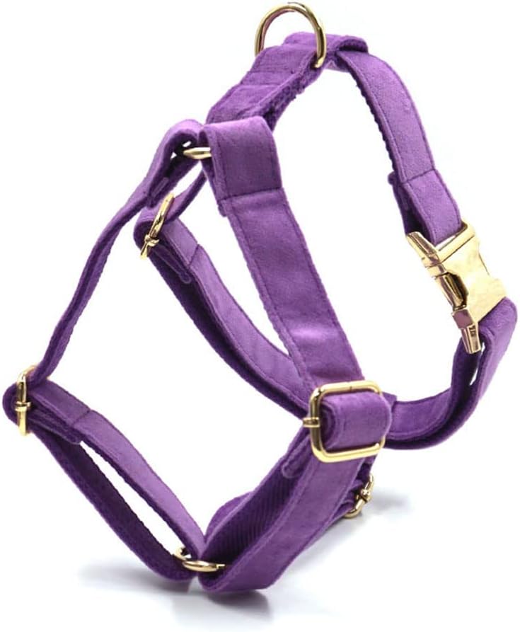 PETDURO Personalized Dog Collar Purple Soft Velvet for Large Medium Small Girl Dogs - Custom Collar with Name Phone Number Engraved on Gold Metal Buckle - Add Matching Leash Bow Set via Customize Now