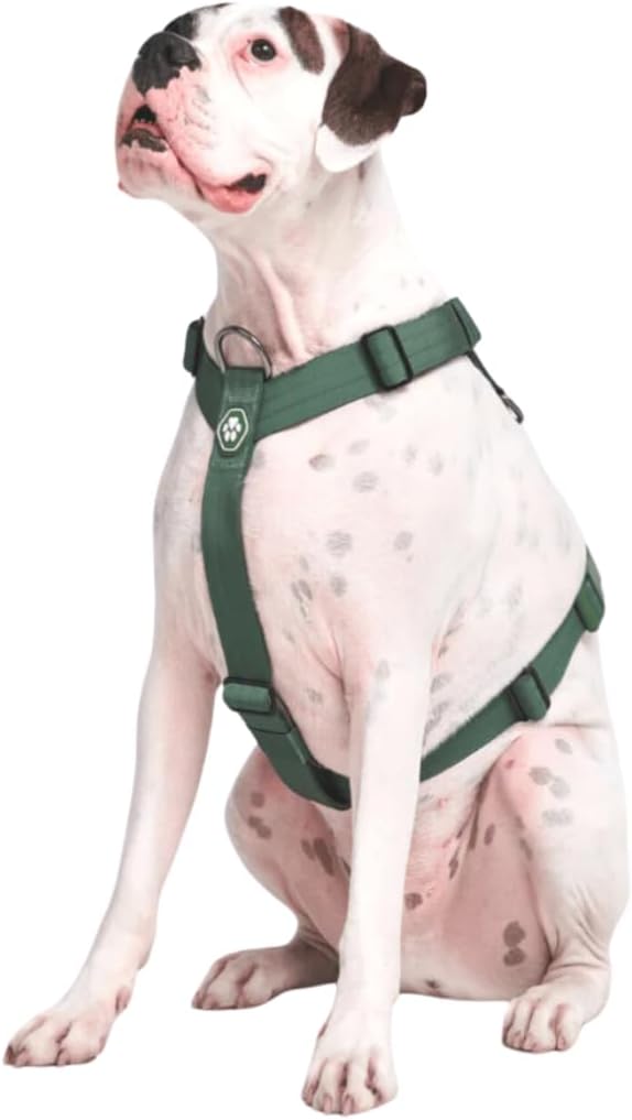 Spark Paws No Pull Dog Harness for Large Dogs, Heavy Duty Dog Harness for Big Strong Breeds, Adjustable, Y Shaped Padded Halter Design with Front Clip - Solid Green – S