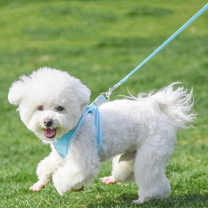 AIITLE Step in Dog Harness and Leash Set - Summer No Pull Escape Proof Vest Harnesses with Soft Mesh and Reflective Bands, Adjustable Pet Outdoor Harnesses for Small and Medium Dogs Pure Blue M