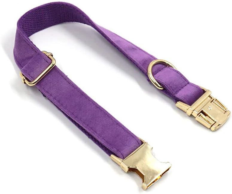 PETDURO Personalized Dog Collar Purple Soft Velvet for Large Medium Small Girl Dogs - Custom Collar with Name Phone Number Engraved on Gold Metal Buckle - Add Matching Leash Bow Set via Customize Now