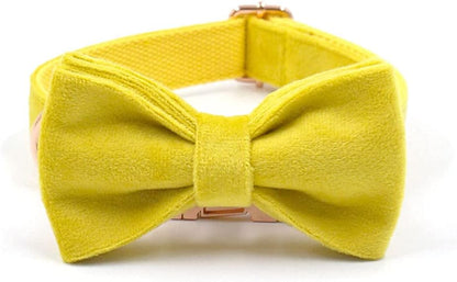 PETDURO Custom Dog Collar Personalized with Name Engraved Quick Release Rose Gold Metal Buckle for Large Medium Small Girl Dogs - Dog Leash and Bow Tie Available - Soft Comfy Velvet (Yellow, L)