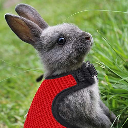 2 Pieces Bunny Rabbit Harness with Leash Cute Adjustable Buckle Breathable Mesh Vest for Kitten Puppy Guinea Pig Small Pets Walking (Black, Red, L)
