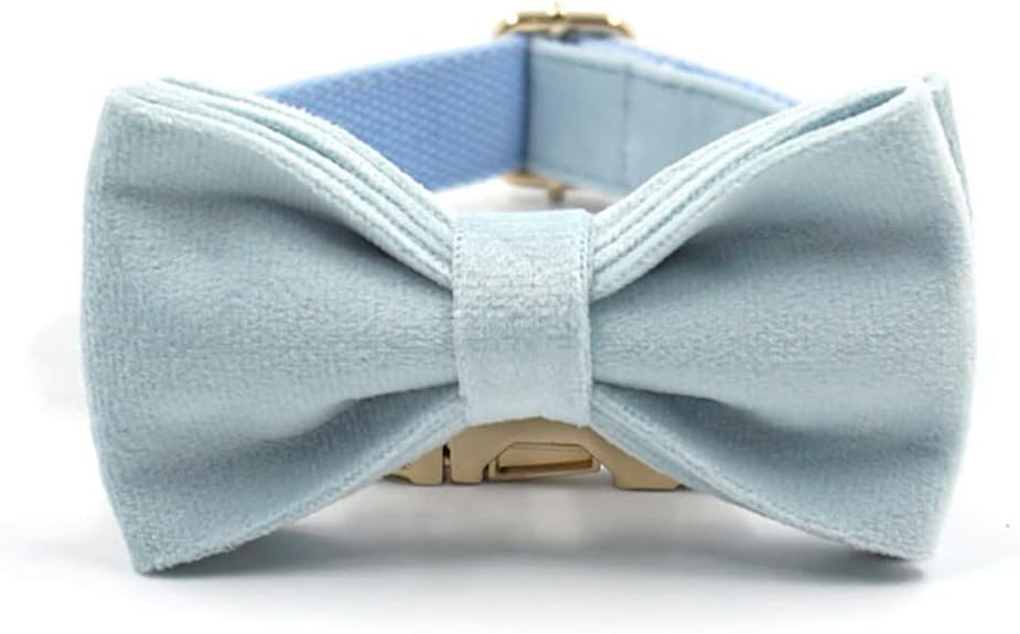 PETDURO Personalized Dog Collar Sky Blue Soft Velvet for Large Medium Small Boy Girl Dogs - Custom Collar with Name Phone Number Engraved on Gold Metal Buckle - Add Leash Bow Set via Customize Now