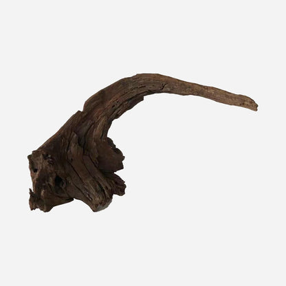 LYPHARD AQUARIUMS Natural Driftwood for Aquarium Decor, L19.69×W7.09×H13.39 Inches Large Drift Wood Decorations for Reptile Hide, Fish Tank, Optional Shapes