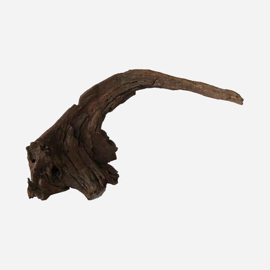 LYPHARD AQUARIUMS Natural Driftwood for Aquarium Decor, L19.69×W7.09×H13.39 Inches Large Drift Wood Decorations for Reptile Hide, Fish Tank, Optional Shapes