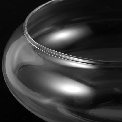POPETPOP Small Fish Bowl, Transparent Glass Hydroponic Vase for Home Decor, Round Shallow Planter for Daffodils Succulents and Aquatic Plants - 5.9 Inch