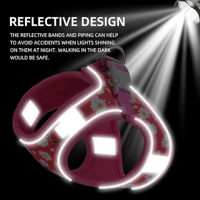 Step in Dog Harness and Leash Set, Flower Adjustable Easy Walk Puppy Harnesses, Soft Mesh Pet Vest Harness Small Size Dog Adjustable No Pull Dog Harness for Small Medium Dogs(Dinosaur, S)