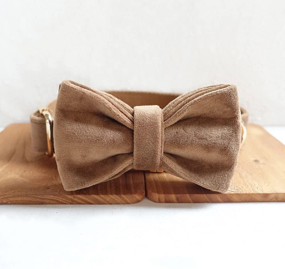 PETDURO Custom Dog Collar Personalized with Name Engraved Gold Metal Buckle for Large Medium Small Dogs - Dog Leash and Bow Tie Available - Soft Thick Velvet (Camel RG, M)