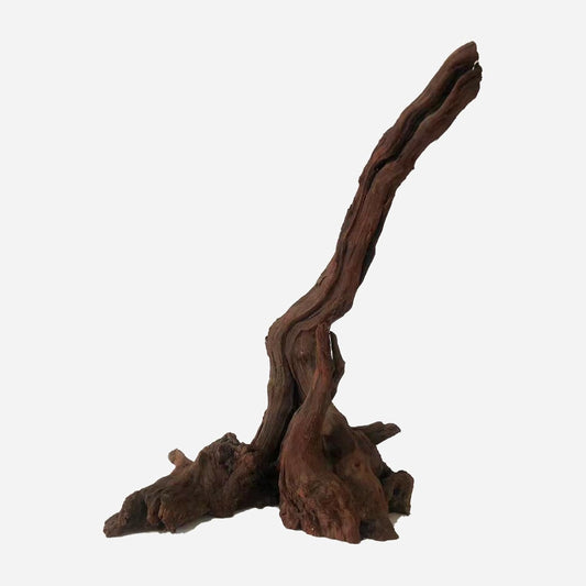 LYPHARD AQUARIUMS Natural Driftwood for Aquarium Decor, L11.81×W9.06×H16.54 Inches Large Drift Wood Decorations for Reptile Hide, Fish Tank, Optional Shapes