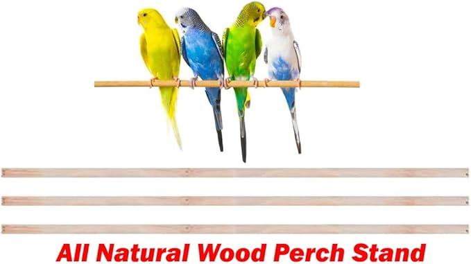 Large 40-Inch Portable Bird Flight Side Nest Doors Cage for Canary Parakeet Cockatiel Lovebird Finch Small Parrot Budgies Travel Bird Cage