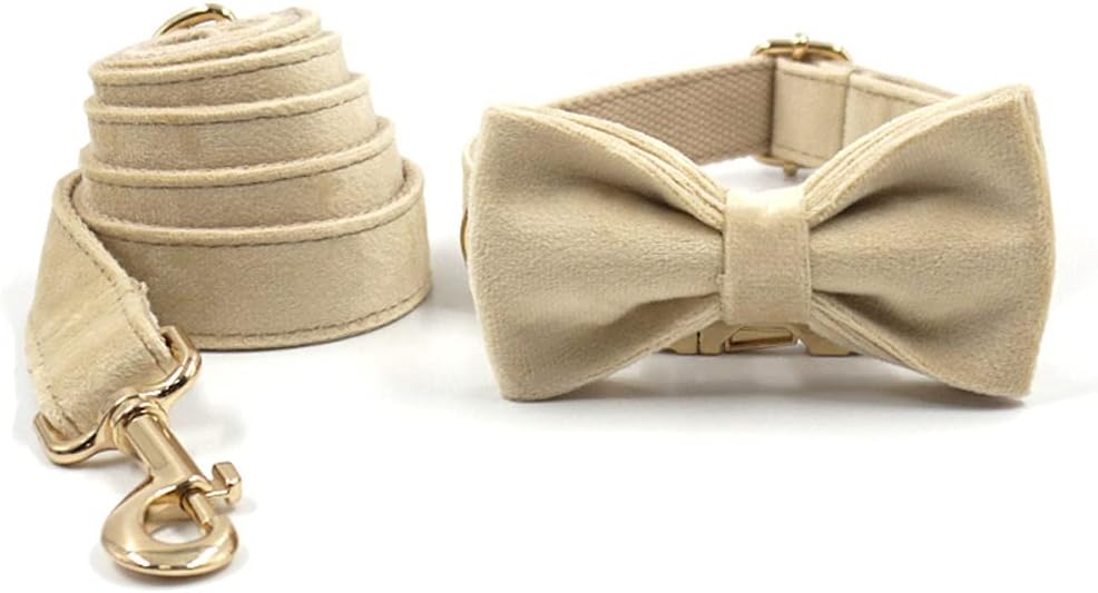 PETDURO Custom Dog Collar Personalized with Name Engraved Quick Release Rose Gold Metal Buckle for Large Medium Small Girl Dogs - Dog Leash and Bow Tie Available - Soft Comfy Velvet (Pale Brown, XL)