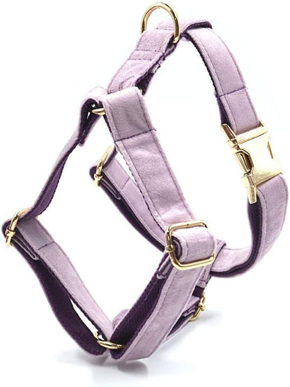 PETDURO Personalized Dog Collar Lavender Soft Velvet for Large Medium Small Boy Girl Dogs - Custom Collar with Name Phone Number Engraved on Gold Metal Buckle - Add Leash Bow Set via Customize Now