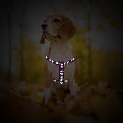 PUPTECK No Pull Dog Harness Soft Adjustable Basic Nylon Step in Puppy Vest Outdoor Walking with ID Tag, Moon Star Purple, S