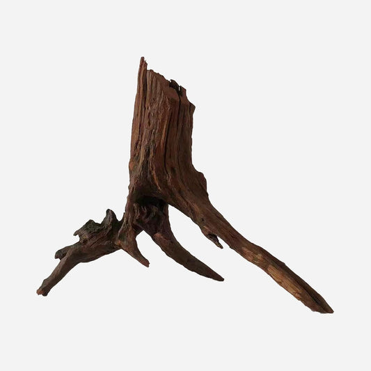 LYPHARD AQUARIUMS Natural Driftwood for Aquarium Decor, L15.75×W8.66×H13.78 Inches Large Drift Wood Decorations for Reptile Hide, Fish Tank, Optional Shapes