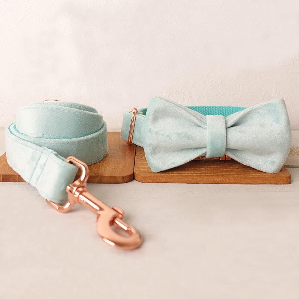 PETDURO Custom Dog Collar Personalized with Name Engraved Quick Release Rose Gold Metal Buckle for Large Medium Small Girl Dogs - Dog Leash and Bow Tie Available - Soft Comfy Velvet (Mint Blue, S)