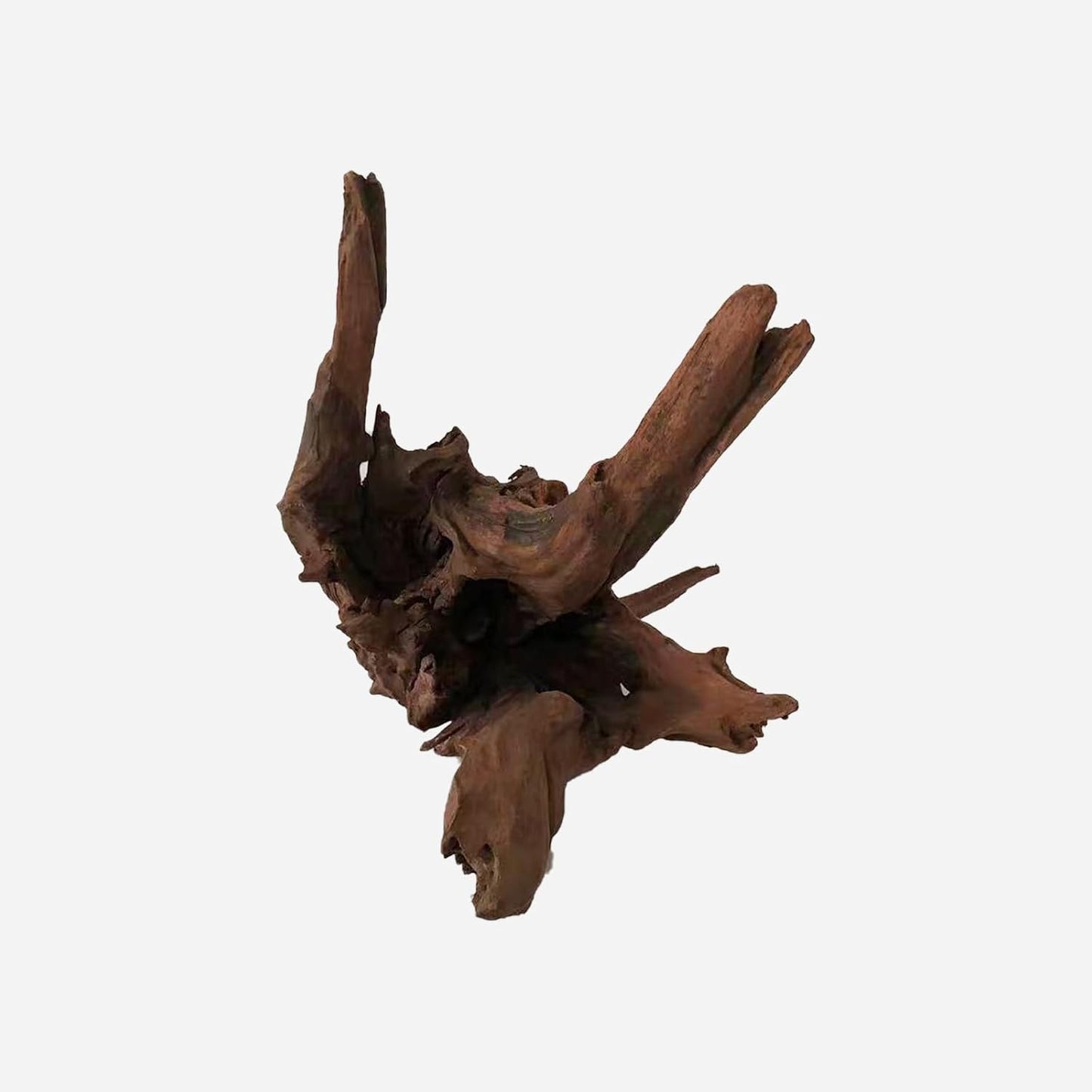 LYPHARD AQUARIUMS Natural Driftwood for Aquarium Decor, L19.69×W11.81×H13.39 Inches Large Drift Wood Decorations for Reptile Hide, Fish Tank, Optional Shapes