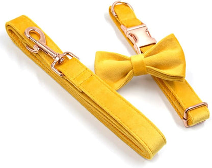 PETDURO Personalized Dog Collar Ginger Soft Velvet for Large Medium Small Boy Girl Dogs - Custom Collar with Name Phone Number Engraved on Rose Gold Metal Buckle - Add Leash Bow Set via Customize Now