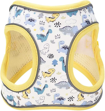 Step in Dog Harness and Leash Set, Flower Adjustable Easy Walk Puppy Harnesses, Soft Mesh Pet Vest Harness Small Size Dog Adjustable No Pull Dog Harness for Small Dogs and Cats(Dinosaur, XS)