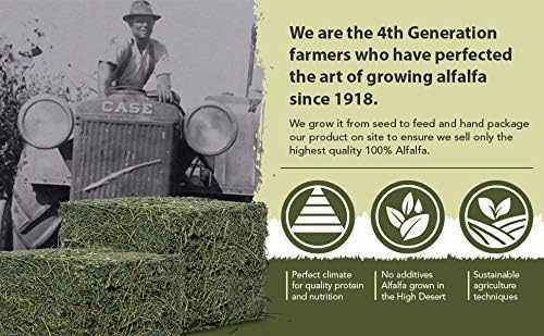 High Desert Alfalfa Hay for Rabbits, Guinea Pigs, Chinchillas & Small Pets – Protein-Rich Natural Hay for Young, Growing Animals – High-Fiber, Hand-Packed, Additive-Free, Grown in USA – 1 lb Box