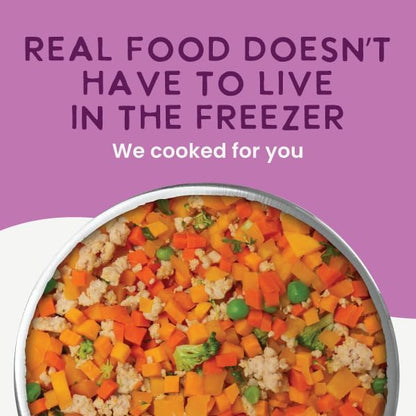 Health Extension Gently Cooked Grain-Free Vegetarian Formula Dog Food, Human-Grade & Shelf-Stable with Superfoods, Supports Digestion, Immunity, Skin & Coat, 9 oz Pouch (Pack of 5)