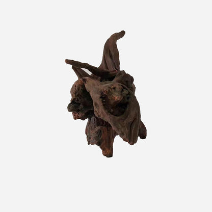 LYPHARD AQUARIUMS Natural Driftwood for Aquarium Decor, L18.11×W7.87×H12.6 Inches Large Drift Wood Decorations for Reptile Hide, Fish Tank, Optional Shapes