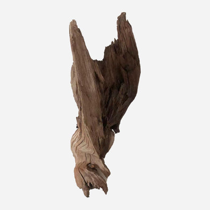 LYPHARD AQUARIUMS Natural Driftwood for Aquarium Decor, L12.99×W9.45×H18.9 Inches Large Drift Wood Decorations for Reptile Hide, Fish Tank, Optional Shapes