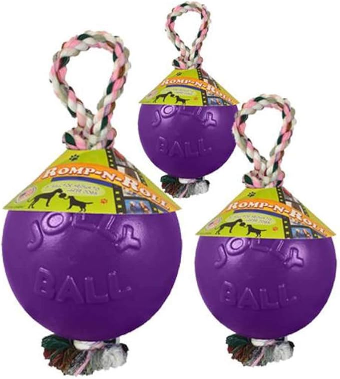 Jolly Pets Romp-n-Roll Rope and Ball Dog Toy, 8 Inches/Large, Purple, Large Breeds