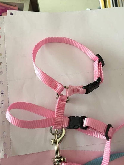 Adjustable Small Pet Hedgehog Harness for Training Playing Traction Rope (Pink)