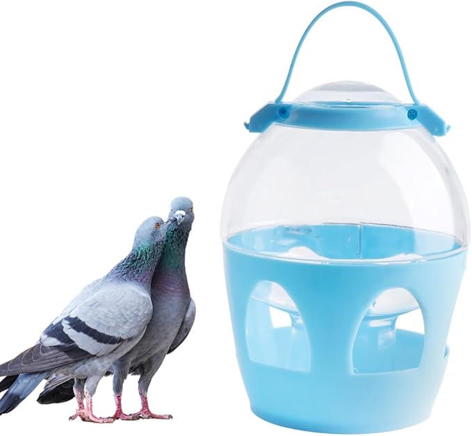 Pigeon Water Dispenser Feeder, 2L Water Pot Container with Handle for Pigeon Chicken Parrot Duck Poultry (Colors May Vary)
