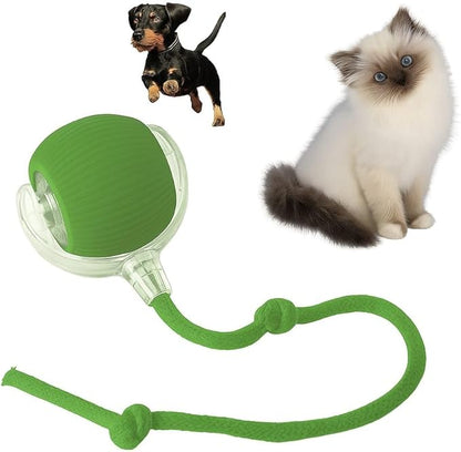 Indoor Cat Interactive Toy 360-degree Automatic Rolling Toy with Floor Flashing and Random Rolling for Cats and Dogs. Continuous Excitement, Fun and Stimulation for Your Cats and Dogs (Green)
