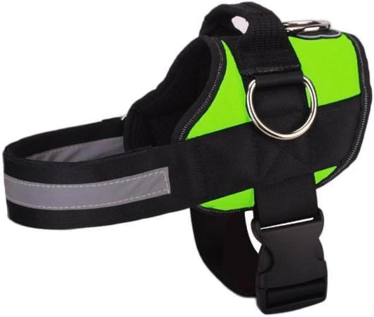 Joyride Basic Essential Dog Harness 1.0 - Small, Medium, Large Dogs, No-Pull Pet Vest with 3 Side Rings for Leash Placement, Adjustable for Training (Green Glow, XS)