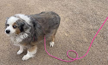 12-Foot Mini Pig Harness - Adjustable Harness & Leash for All Animals - Pigs, Ferrets, Rabbits, Guinea Pigs, Dogs, Cats, Reptile, and Chickens