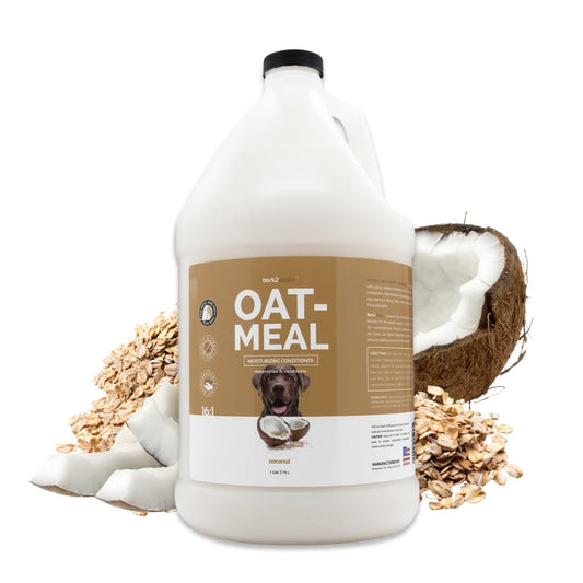 Bark2Basics Oatmeal Conditioner, Gallon - Natural Ingredients, Moisturizing, Hydrating, Crafted with Colloidal Oatmeal, Relieves Dry Itchy Irritated Skin, Coconut Fragrance