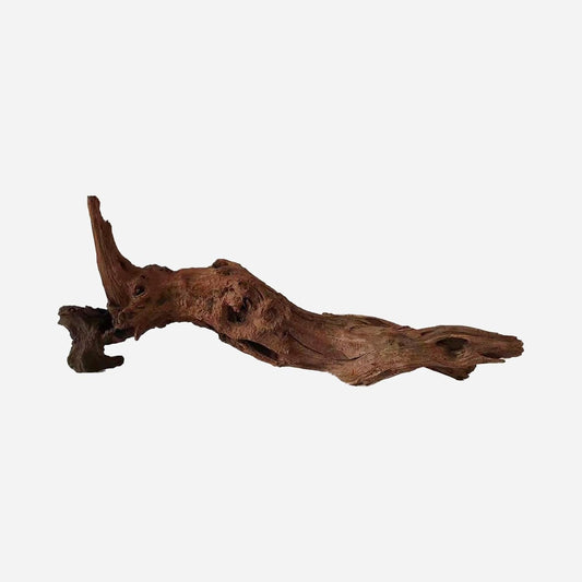 LYPHARD AQUARIUMS Natural Driftwood for Aquarium Decor, L21.65×W6.3×H8.66 Inches Large Drift Wood Decorations for Reptile Hide, Fish Tank, Optional Shapes