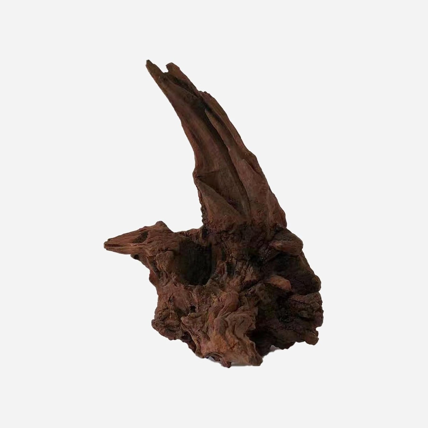 LYPHARD AQUARIUMS Natural Driftwood for Aquarium Decor, L12.99×W7.87×H12.2 Inches Large Drift Wood Decorations for Reptile Hide, Fish Tank, Optional Shapes